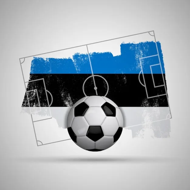 搜狐体育 足球赛事背景